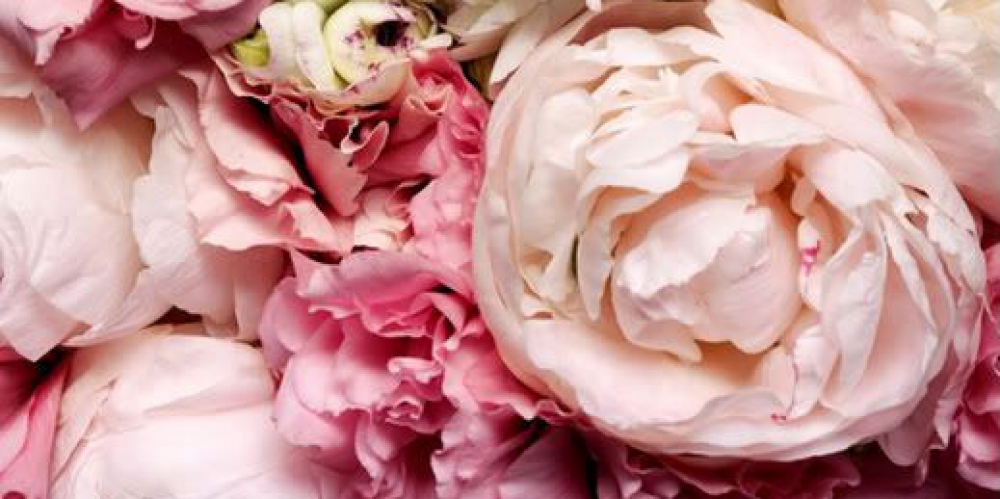 Chèques cadeaux en ligne