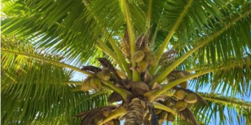 visuel Le Spa sera ferm&eacute; du 16 au 23 ao&ucirc;t inclus 